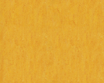 [100111111_25] Marmoleum Real - 3225/322535 dandelion